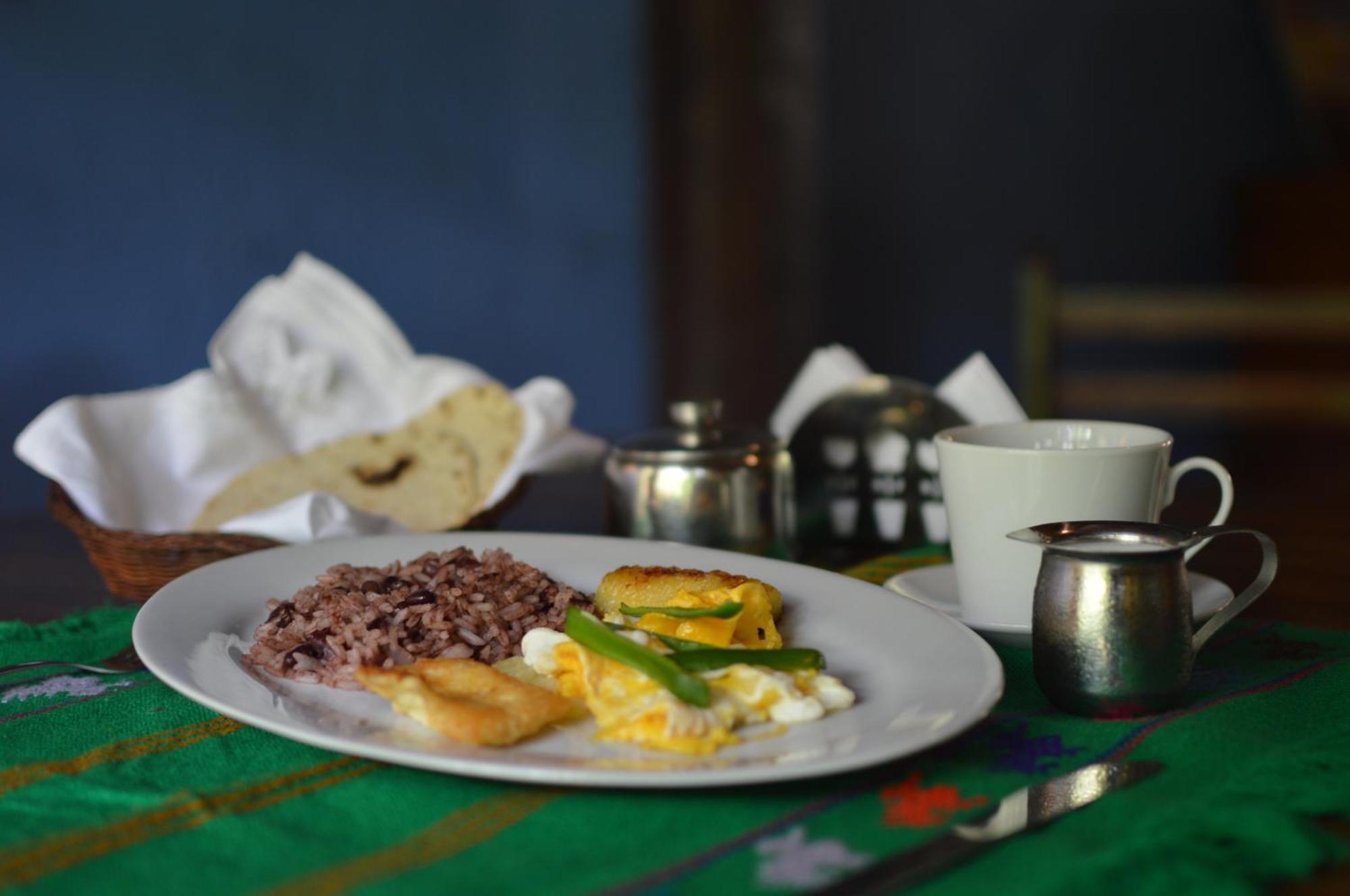 Hostal Fuente Castalia, B Y B Leon Bagian luar foto