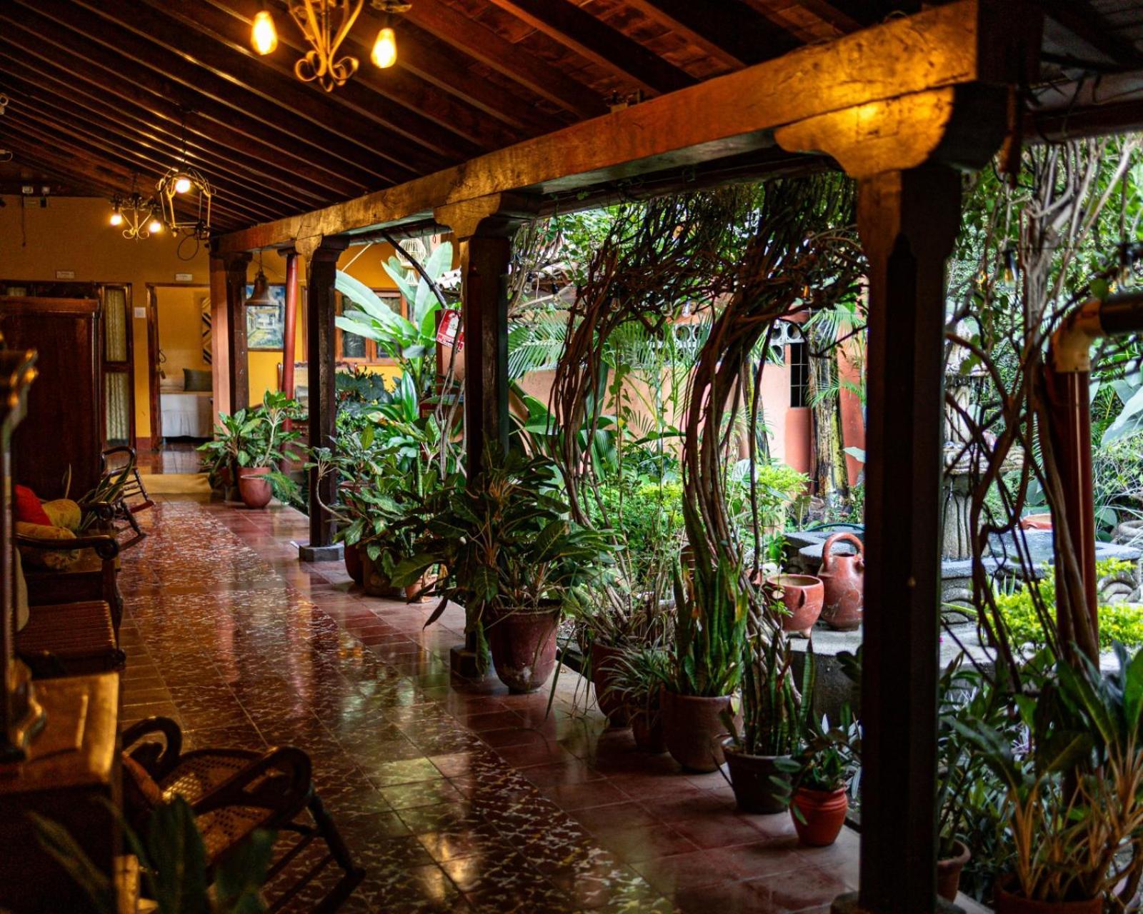 Hostal Fuente Castalia, B Y B Leon Bagian luar foto